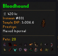 Kill Clog Player Summary showing a named pet and the player's obtained pets